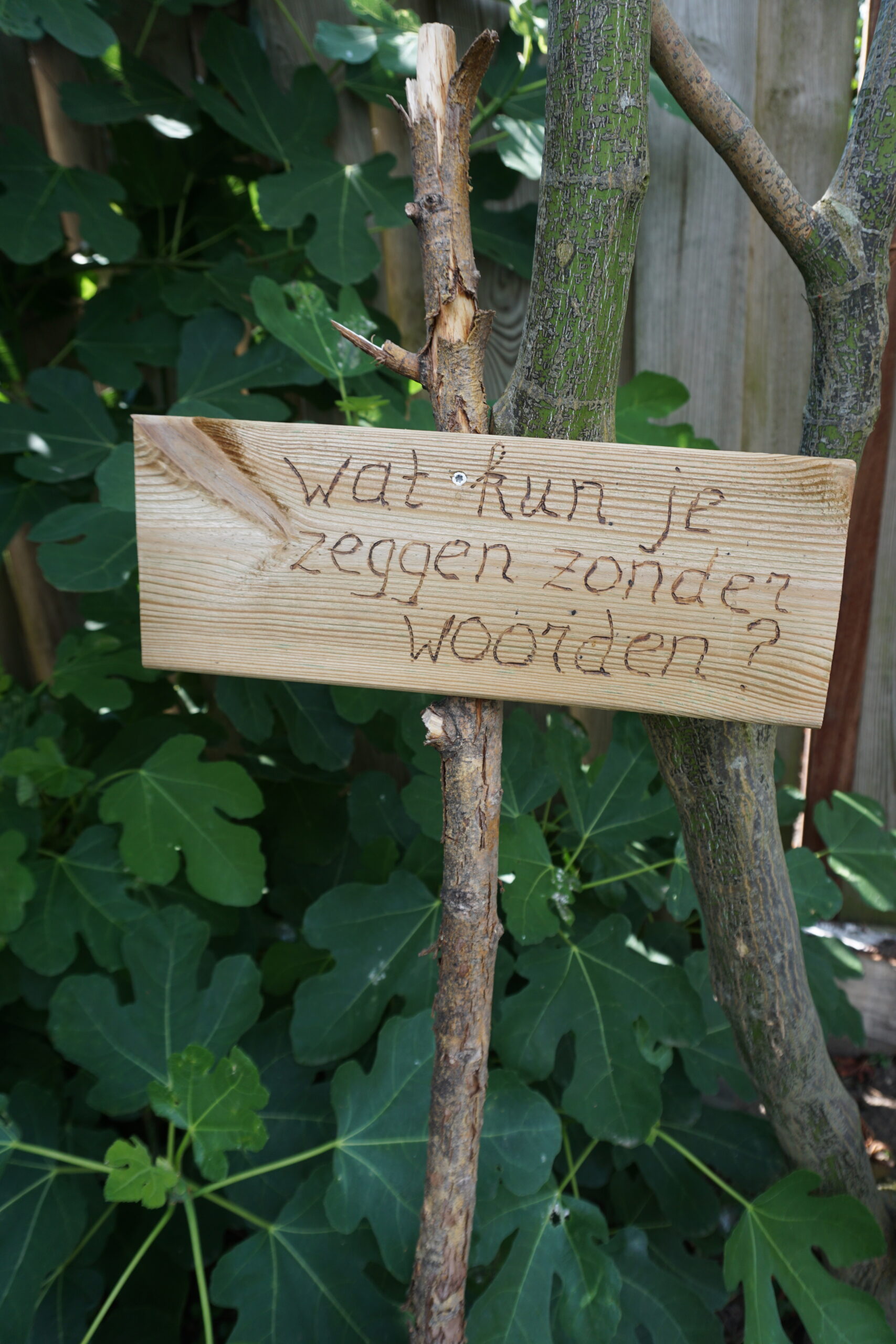 Wat kun je zeggen zonder woorden?