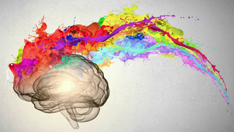 De kracht van creativiteit. Het verhaal van de krekel in de keuken.